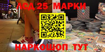 гидропоника Можга