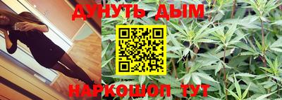 гидропоника Можга