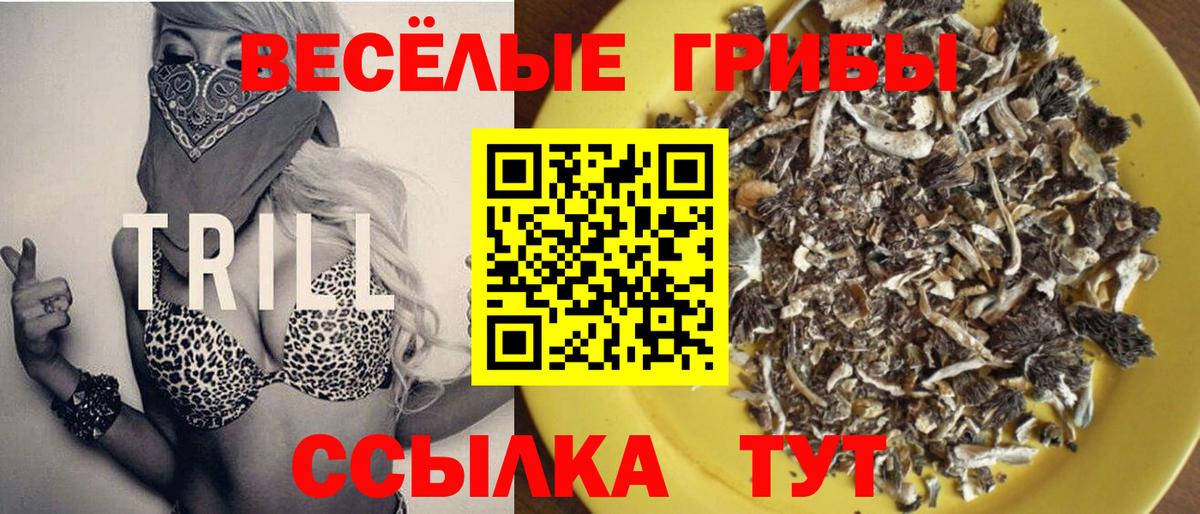Псилоцибиновые грибы ЛСД  наркота  Кинешма  Вход с VPN 