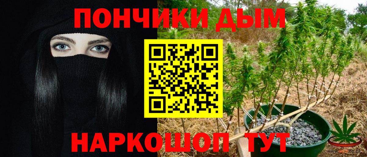 МАРИХУАНА сатива Кинешма